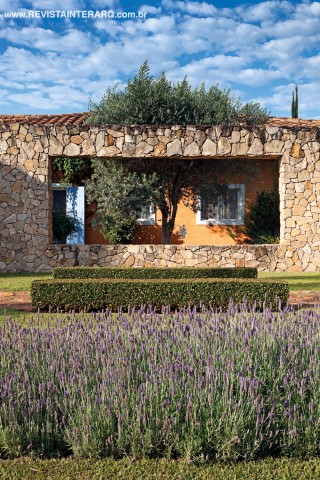 As lavandas anunciam a composição com uma oliveira, de onde pendem orquídeas brancas