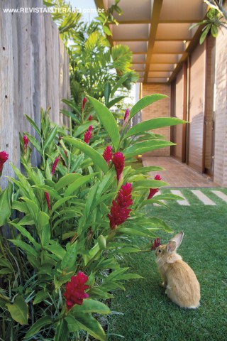 Nas laterais da casa, a cerca viva com madeira garante eficiência para proteção dos pets e a vegetação intercalada