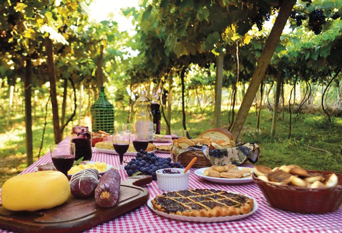 Na época da vindima, de janeiro a março, algumas vinícolas deixam o visitante colher as uvas e pisá-las como antigamente ao som de música típica italiana. A festa inclui piqueniques e é muito animada, principalmente no Vale do Rio das Antas