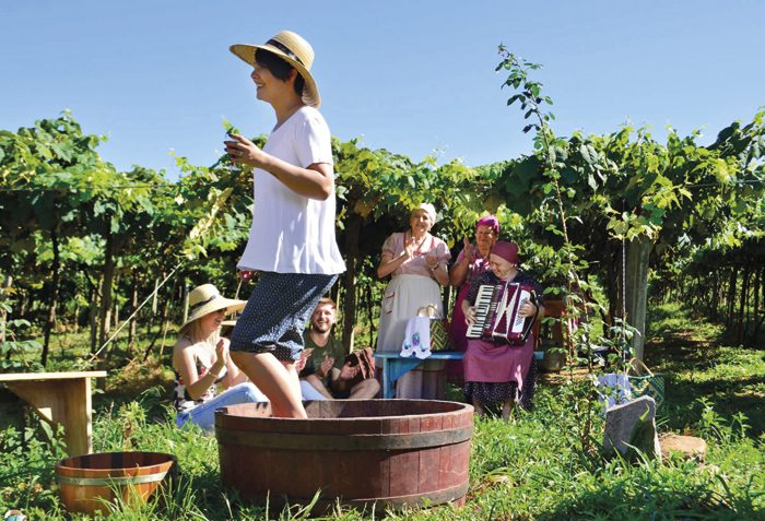 Vale dos Vinhedos se diverta entre as principais vinícolas do Brasil - Revista InterArq | Arquitetura, Decoração, Design, Paisagismo e Lifestyle