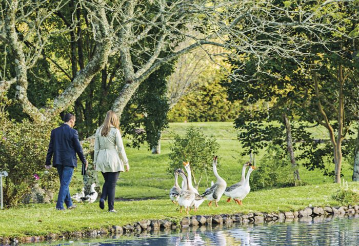 O Ecomuseu da Cultura do Vinho, da Vinícola Dal Pizzol, é possível fazer uma degustação com olhos vendados, conhecer uma enoteca com garrafas históricas e caminhar entre árvores, pavões, gansos e cisnes.