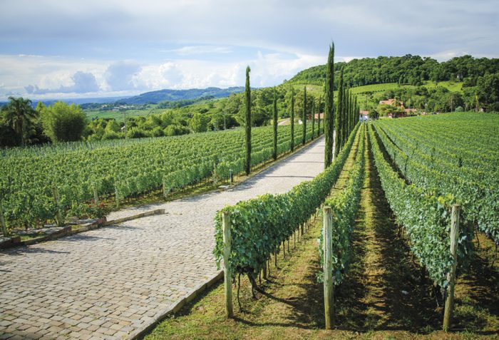 A Vinícola Almaúnica elabora vinhos e espumantes com o máximo cuidado e dedicação, da videira à garrafa. A empresa alia uma extensa tradição familiar às técnicas mais modernas de elaboração para produzir garrafas limitadas de cada vinho e assim se tornar um conceito na elaboração de vinhos finos e espumantes.