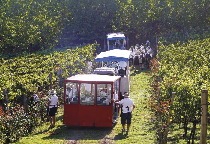 Uma das caves do complexo e visitantes nos vinhedos da Valduga durante a Vindima
