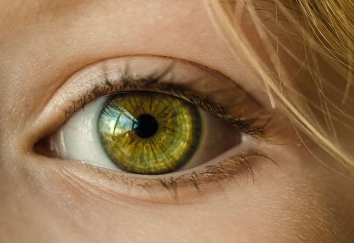 Dicas para proteger a saúde dos olhos - Revista InterArq | Arquitetura, Decoração, Design, Paisagismo e Lifestyle