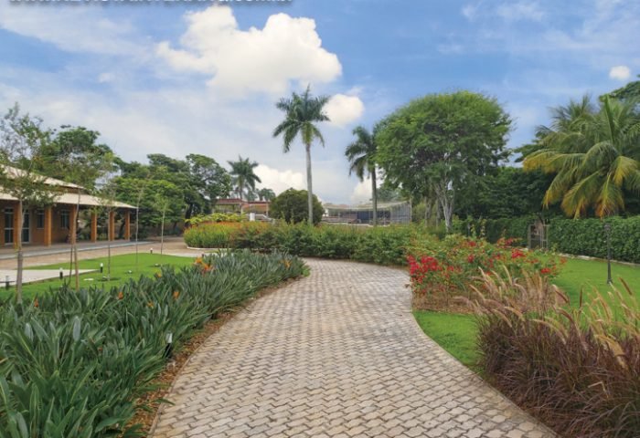 Neste projeto, grandes maciços de plantas da mesma espécie definem os canteiros e marcam a paisagem - Revista InterArq | Arquitetura, Decoração, Design, Paisagismo e Lifestyle