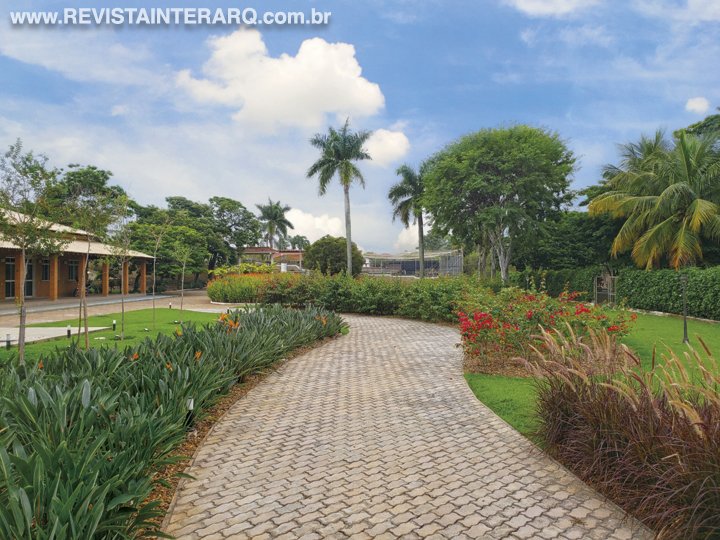 Neste projeto, grandes maciços de plantas da mesma espécie definem os canteiros e marcam a paisagem - Revista InterArq | Arquitetura, Decoração, Design, Paisagismo e Lifestyle