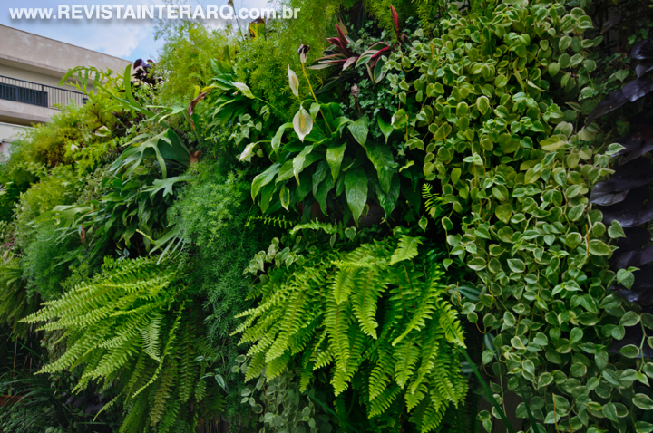 jardim vertical