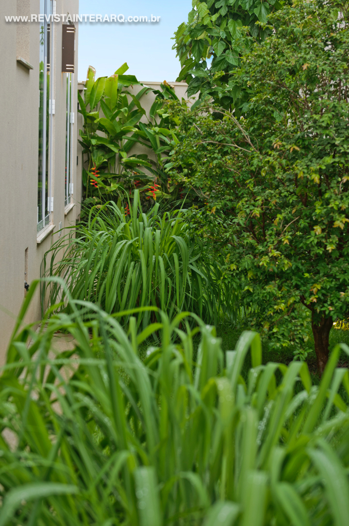 plantas, paisagistico